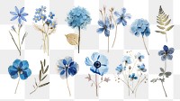 Pressed blue flowers png cut out set