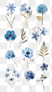 Pressed blue flowers png cut out set