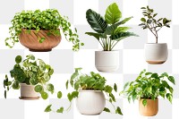 Houseplants png cut out set