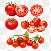 Tomato png cut out set