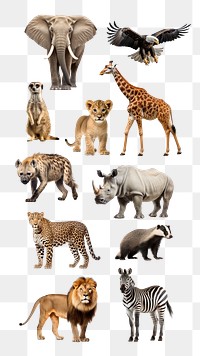 Wildlife animal png cut out set