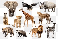 Wildlife animal png cut out set