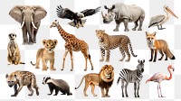 Wildlife animal png cut out set