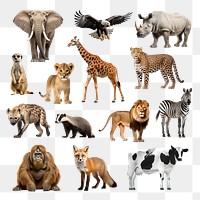 Wildlife animal png cut out set