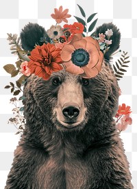 PNG Bear art wildlife blossom.