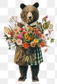 PNG A bear flower art wildlife.