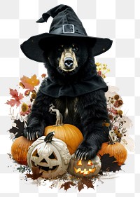 PNG Bear pumpkin bear hat.