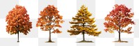 Autumn trees png cut out element set