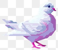 PNG Dove pixel animal pigeon person.