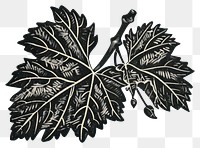PNG Vine leaf sycamore produce person.