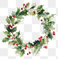 PNG Christmas holly wreath plant leaf.