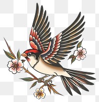 PNG Tattoo illustration of a sparrow swallow animal finch.