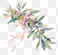 PNG Coquette olive branch art graphics pattern.