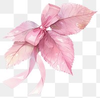 PNG Coquette leaf accessories accessory blossom.