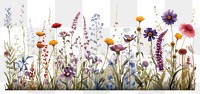 PNG Lavender outdoors painting blossom