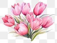 PNG Blossom flower tulip plant. AI generated Image by rawpixel.