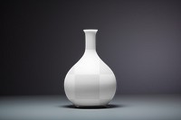 PNG ceramic vase mockup, transparent design