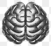 PNG Brain icon stencil person human.