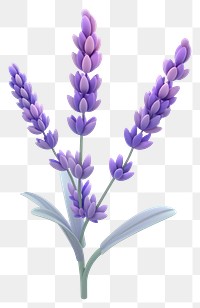 PNG Lavender plant illustration, purple flowers