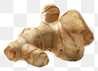 PNG Fresh ginger root isolated image