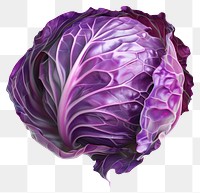 PNG Vibrant purple cabbage illustration