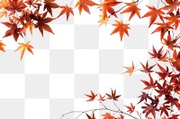 PNG Autumn leaves border frame