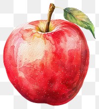 PNG Apple apple produce fruit.
