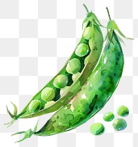 PNG Green peas medication vegetable produce.
