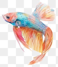 PNG Colorful betta fish watercolor illustration