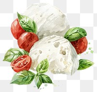 PNG Fresh mozzarella, tomatoes, basil watercolor