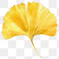 PNG Yellow ginkgo leaf blossom flower fungus.