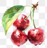 PNG Cherries cherry produce fruit.