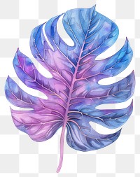 PNG Monstera leaf art accessories accessory.