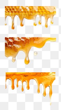 PNG Melting honey border set, transparent background