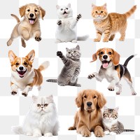 PNG dog and cat set, transparent background