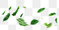 PNG Floating green leaves on white