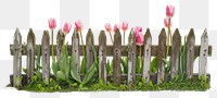 Rustic fence with pink tulips