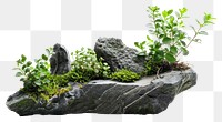 Natural stone with green plants