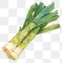 PNG A leek vegetable produce plant.