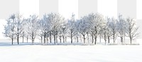 PNG Snow-covered trees in winter