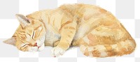 PNG Watercolor sleeping orange cat