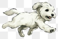 PNG Joyful running white puppy