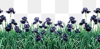 PNG Purple irises in green field