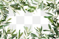 PNG Green leaves frame background