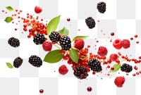 Berries png fruit, transparent background