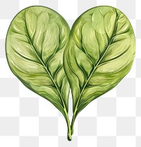 PNG Heart-shaped green leaf illustration