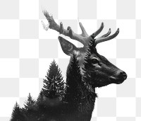 PNG Deer forest double exposure art