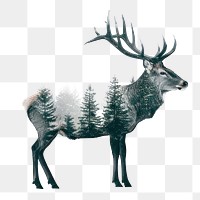 PNG  Deer silhouette with forest overlay