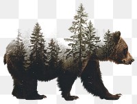 PNG  Bear forest double exposure art