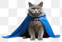 PNG British Shorthair cape cat clothing.